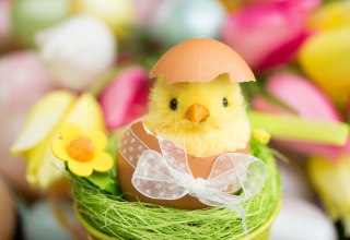 Osterbrunch 2026 // &copy; www.fotolia.com