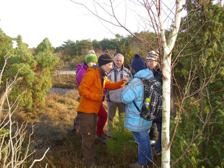 Wędrówka między zatoką a morzem, © Naturerlebnisverein Rügen e.V.