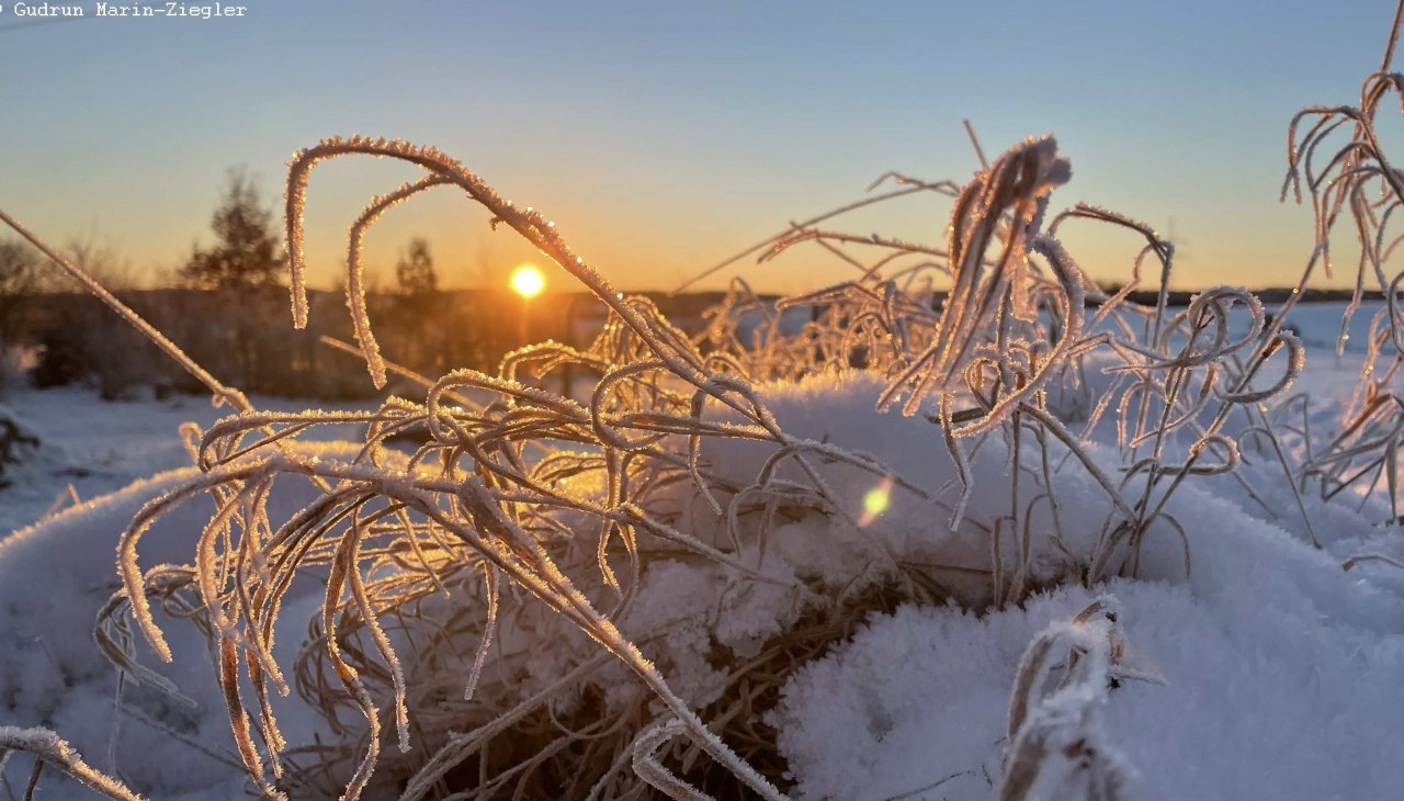 Paul Blei ze Stowarzyszenia Przyjaciół będzie szukał śladów na śniegu (jeśli będą dostępne), identyfikował pąki i gałązki w ich zimowym stanie i wyjaśniał strategie hibernacji owadów. Jeśli więc masz ochotę rozruszać się po zimie i pooddychać świeżym powietrzem, serdecznie zapraszamy na spacer po Zamku Schlitz., © Marin-Ziegler