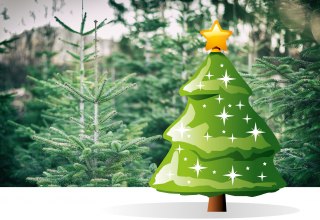 &copy; Stadtmarketing Ribnitz-Damgarten