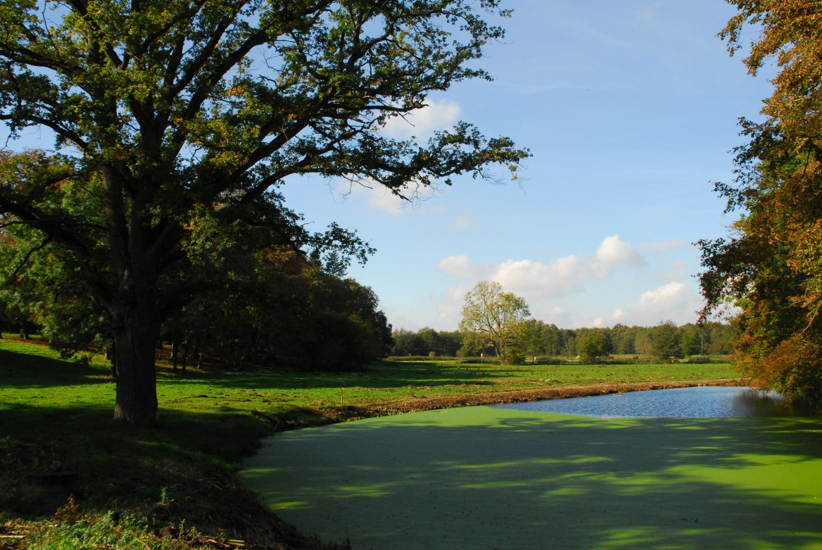 &copy; Friedrich Diestelmeier