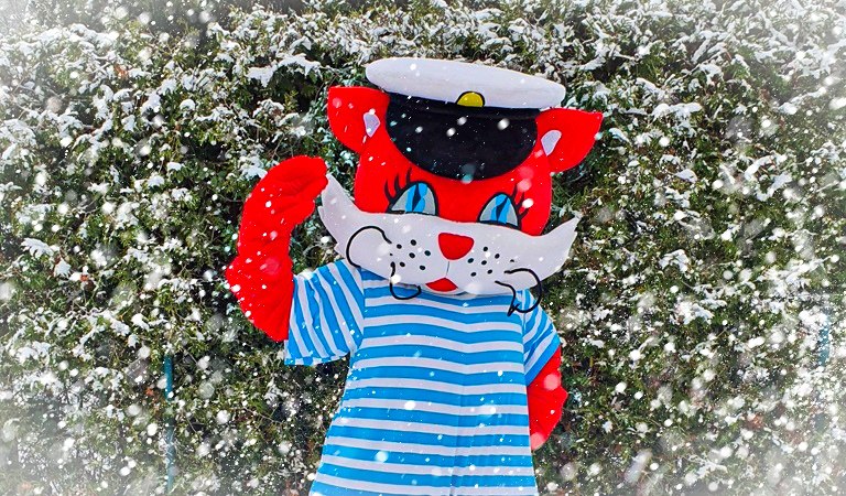 &copy; 335176383015101