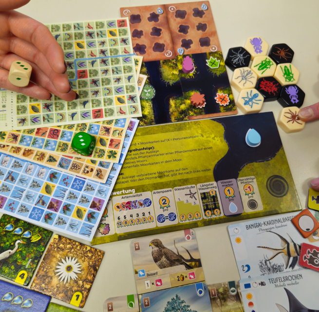 Spiele rund um die Natur gemeinsam erleben // &copy; M&uuml;ritzeum