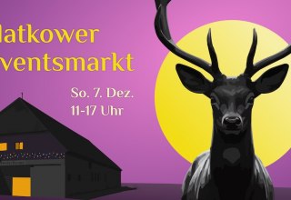 © Jan-Henrik Hempel