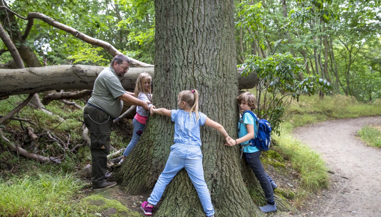 Adventure Nordperd dla naszych małych gości (c) Kurverwaltung Goehren Martin Stoever _07-2019_P5I6440, &copy; Kurverwaltung Goehren / Martin Stoever