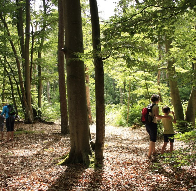 © NPA Vorpommern © NPA Vorpommern