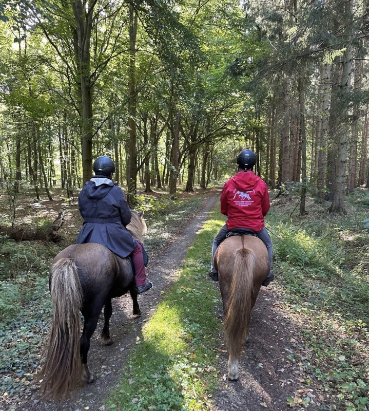 Riding through the Darß Forest // © Islandpferdehof Fischland Riding through the Darß Forest // © Islandpferdehof Fischland