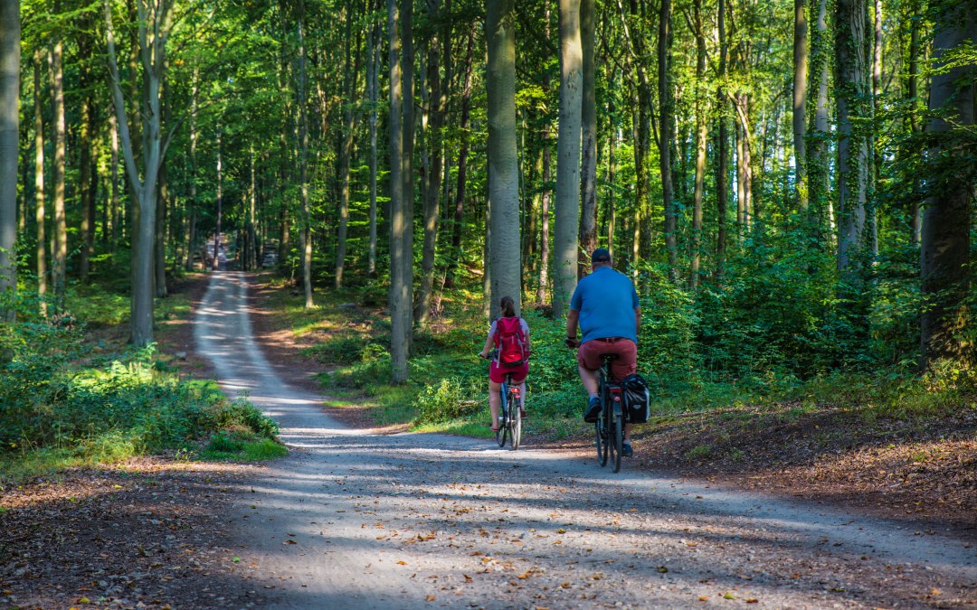 Fietstocht met gids - Fietstocht door het Usedom Achterland naar Stolpe aan de Lagune van Szczecin, © insel-fotograf.eu, Andreas Dumke