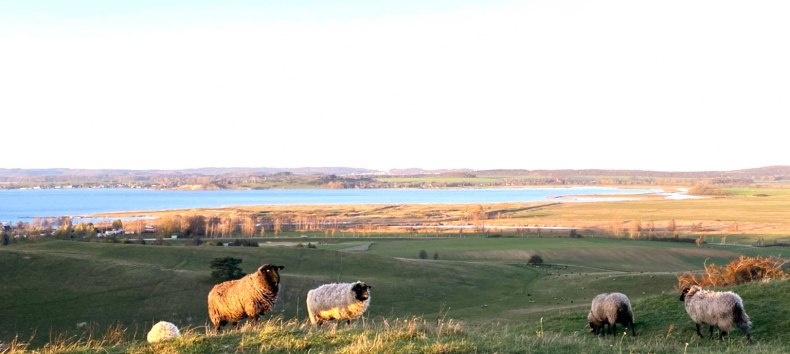 © KV Mönchgut © KV Mönchgut