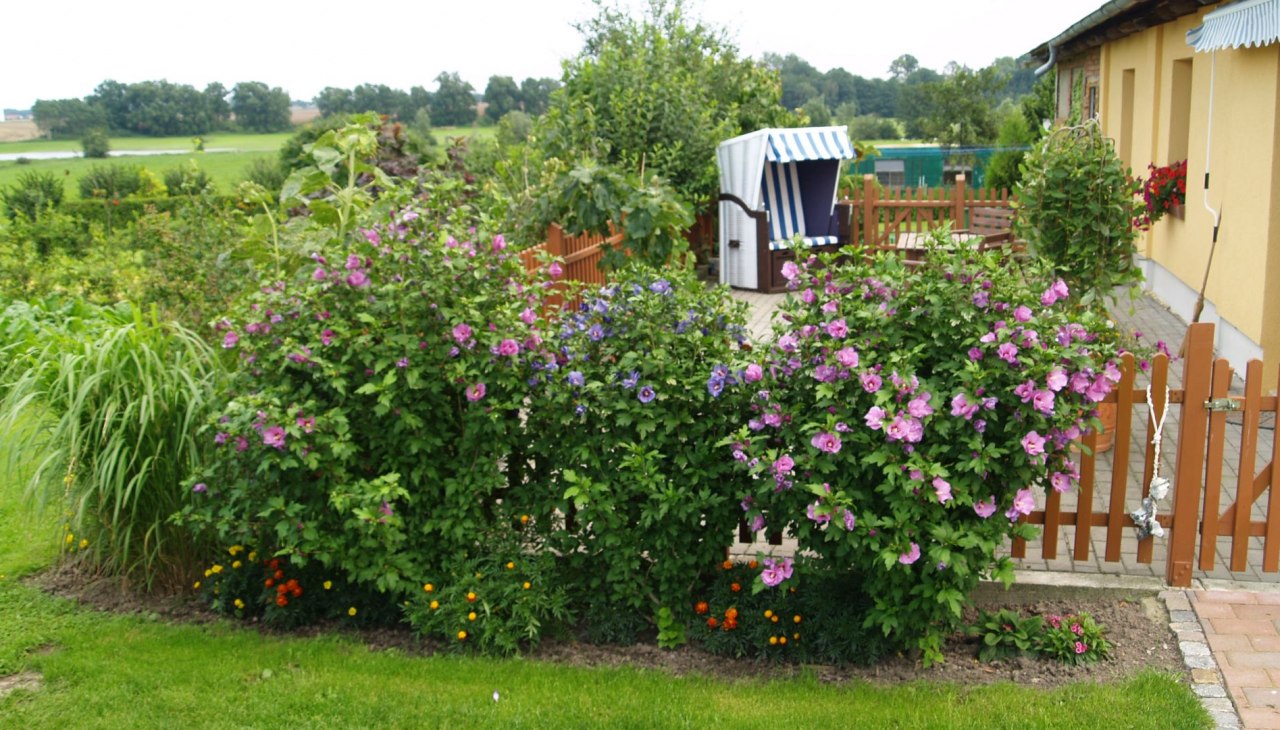 A cozy terrace invites you to relax, © Dinserhof A cozy terrace invites you to relax, © Dinserhof