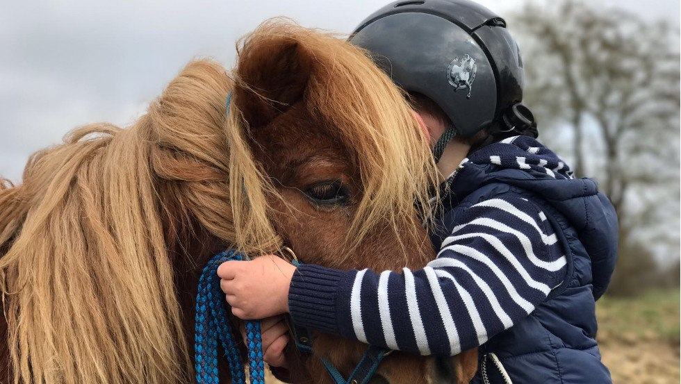 Even for the little ones can be found a pony to cuddle // &copy; Reitanlage Rodenberg