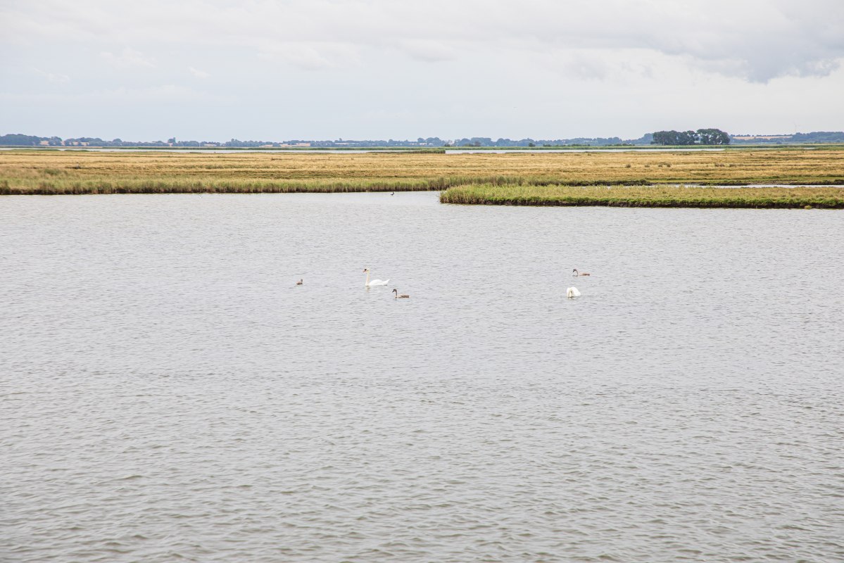 © Weiße Flotte GmbH © Weiße Flotte GmbH