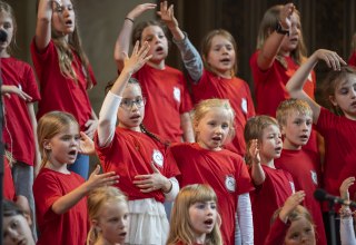 &copy; Geert Maciejewski