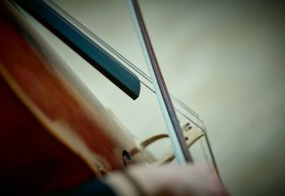 Abbildung eines Violoncellos // © Fotograf Mirco Dalchow Abbildung eines Violoncellos // © Fotograf Mirco Dalchow