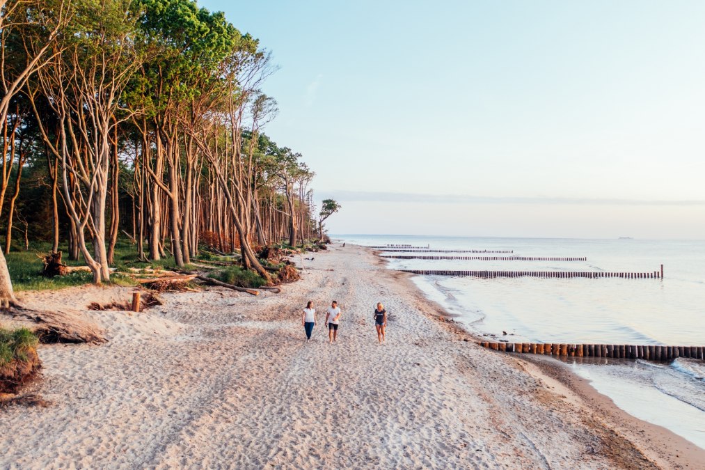 Beach idyll in the Rostock Heath, © TMV/Gänsicke