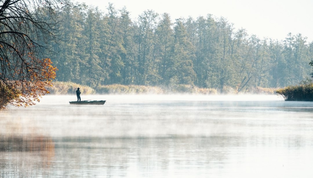 Anglers in a boat on the misty Peene in the fall, surrounded by autumnal trees. // Morning mist rises over the Peene, while golden autumn leaves line the banks. A boat glides through the silence - fishing bliss between water and vastness. // © MV-T/Scholz-Witzel Anglers in a boat on the misty Peene in the fall, surrounded by autumnal trees.