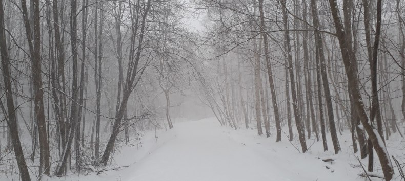 &copy; Angela Pfennig