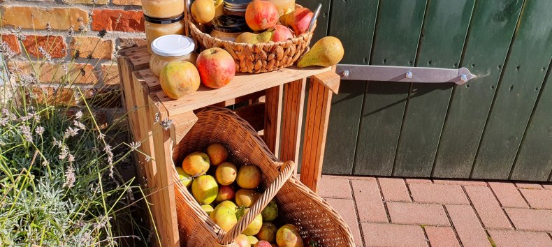 Appeldag . fresh apple juice from the press and variety identification // &copy; S. Maus