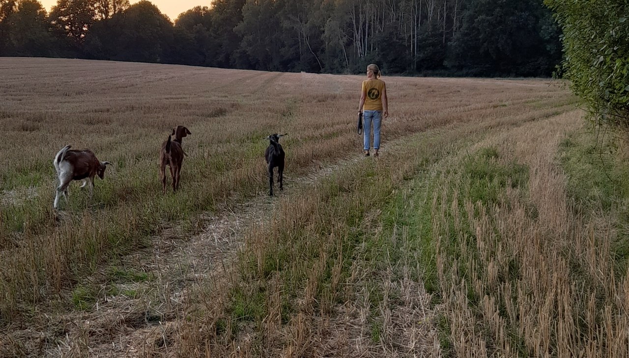 Nasz mały Burderei, © Andrea Hauser Nasz mały Burderei, © Andrea Hauser