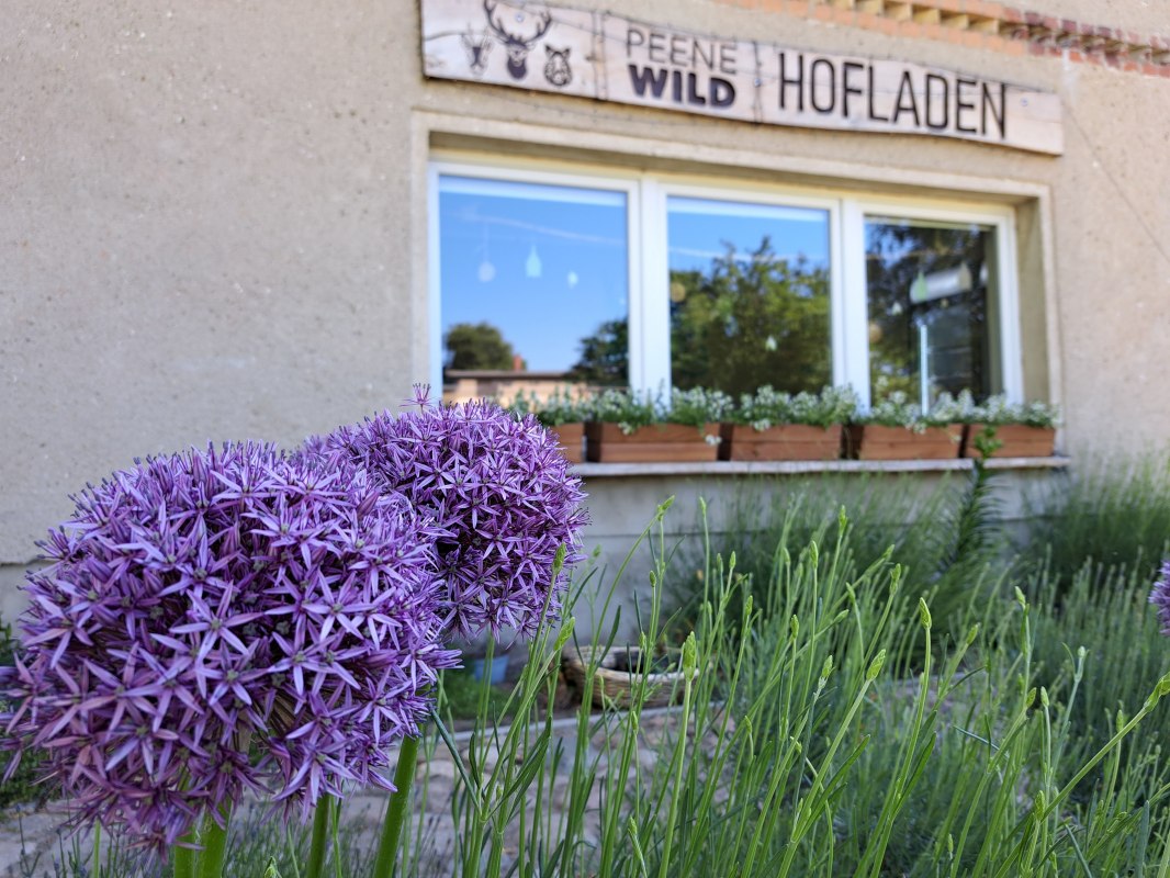 Boerderijwinkel bekijken, &copy; Sabrina Brodoch