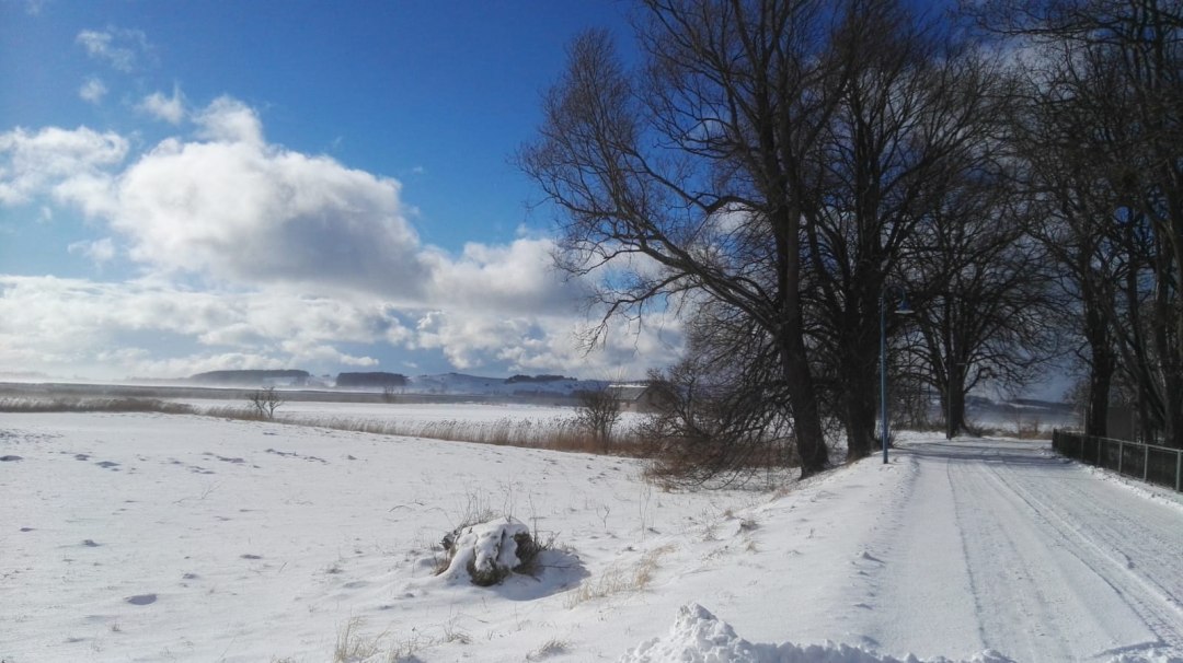 Winter hike, © Petra Wolter