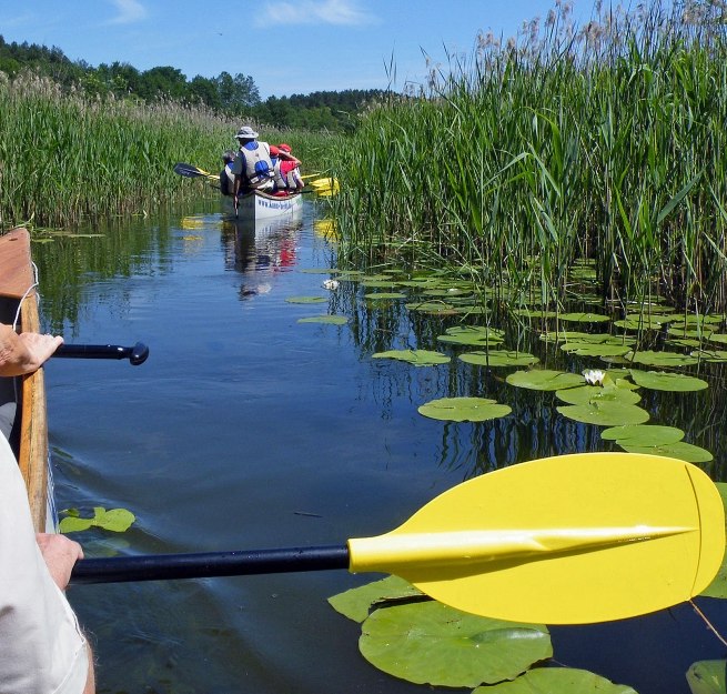 on a canoe safari through the M&uuml;ritz National Park // &copy; Kanu-Hecht