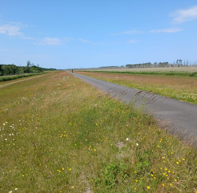 Dyke in the Sundische Wiese // © Angela Pfennig Dyke in the Sundische Wiese // © Angela Pfennig