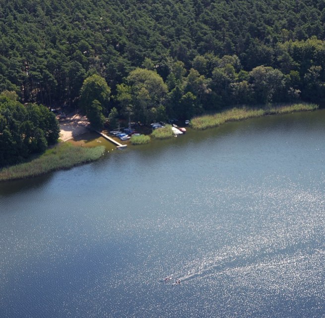 De camping ligt in een dun naaldbos - direct aan het Leppinmeer. // © Haveltourist De camping ligt in een dun naaldbos - direct aan het Leppinmeer. // © Haveltourist