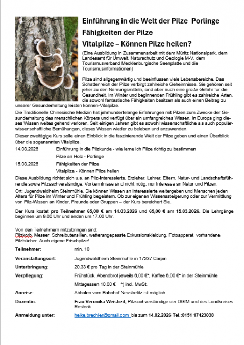 Screenshot 2025-12-16 121900, &copy; Heike Brechler