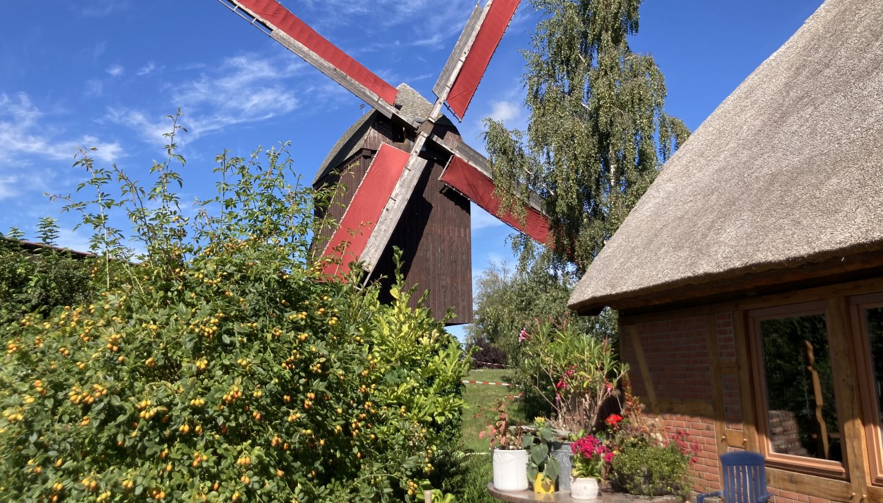 Czerwone skrzydła stoją na wietrze, &copy; Martin Weidemeier