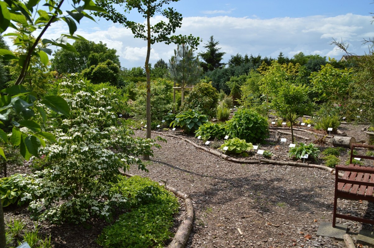 Winding path through the newer part of the plant // © Kevin Hager (Baumschule Hager) Winding path through the newer part of the plant // © Kevin Hager (Baumschule Hager)