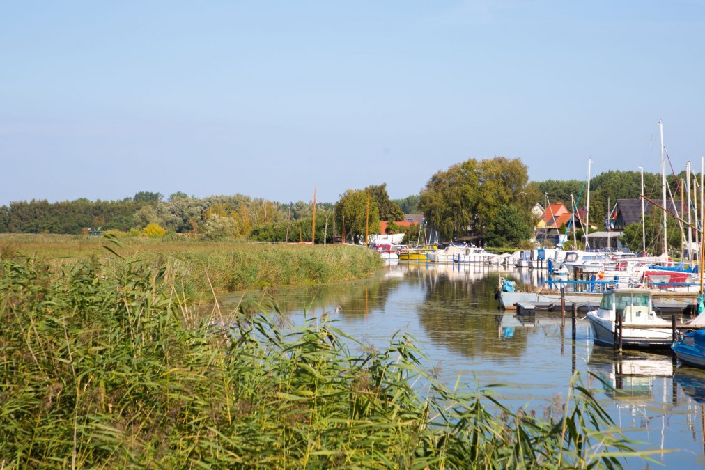 Port at Vogelsang, © Arndt Gläser