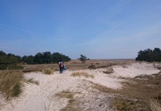 Dunes at Darßer Ort, © TMV/UB