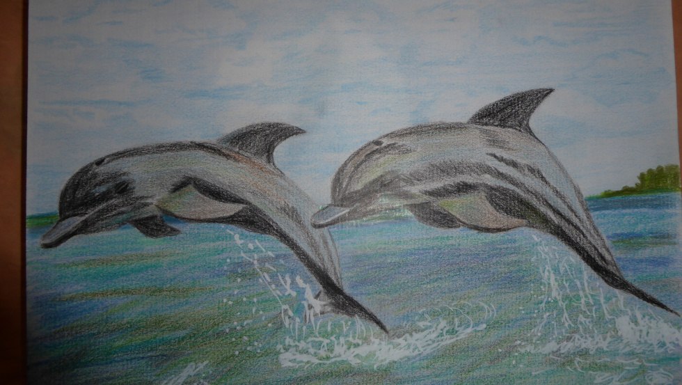 Delphine klein&copy;Waltraud B&uuml;ttner, &copy; Waltraud B&uuml;ttner