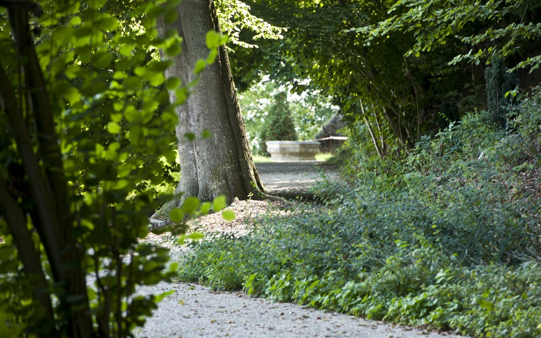 Parkeren rond kasteel Wiligrad aan de steile kust van het meer van Schwerin, © SSGK MV / Jörn Lehmann