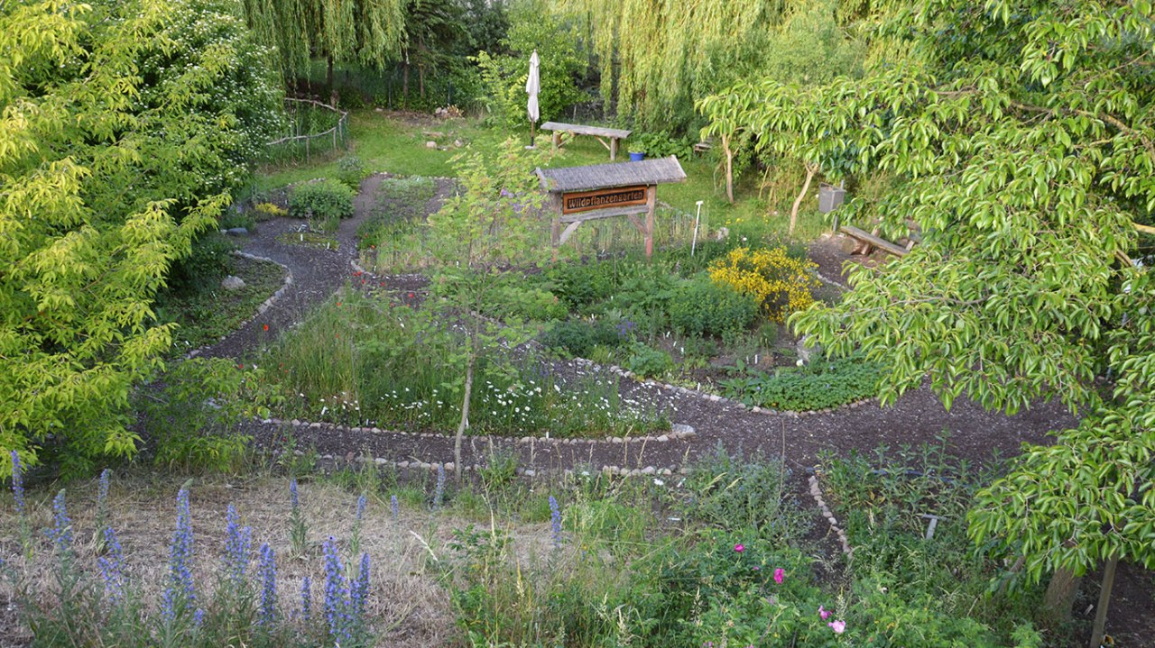 © Wildpflanzengarten Waren © Wildpflanzengarten Waren