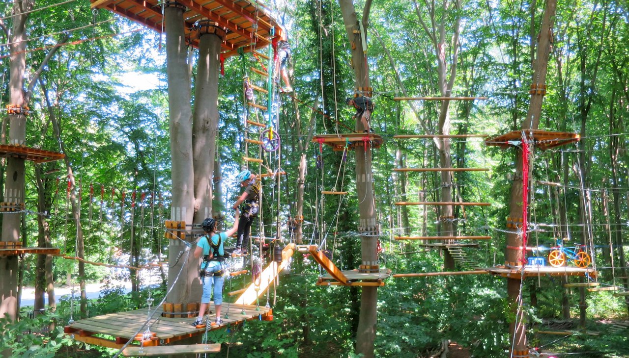 Climbing forest overview, &copy; Michael Schicha