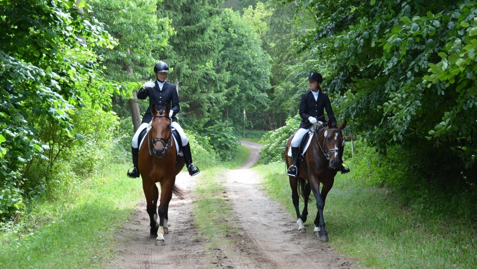 Horseback riding with Reiterhof Groß-Stubben means above all enjoying nature, © Reit- und Fahrverein Poseritz e.V./ Thomas Krimmling Horseback riding with Reiterhof Groß-Stubben means above all enjoying nature, © Reit- und Fahrverein Poseritz e.V./ Thomas Krimmling