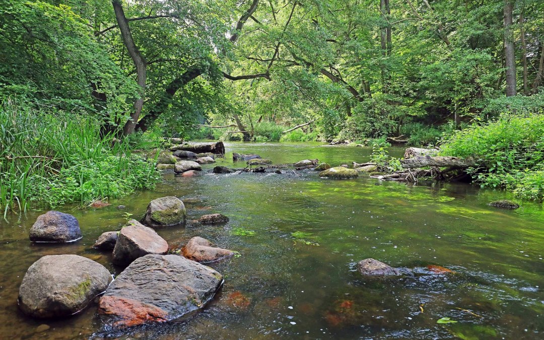 Breakthrough valley of the Warnow // &copy; TMV/Gohlke