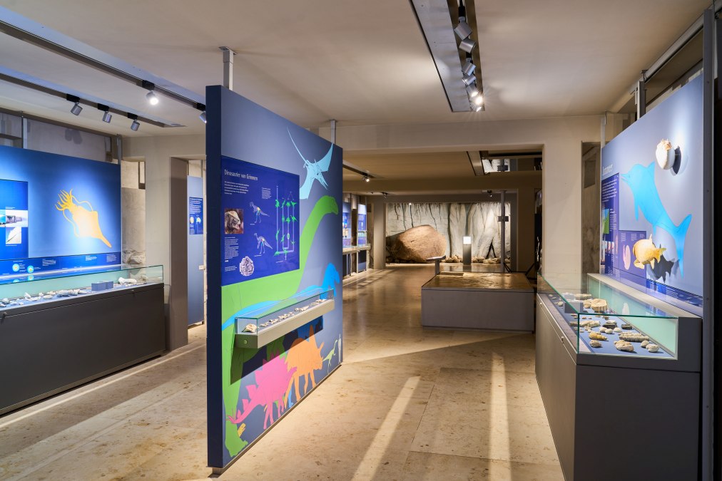 Earth history: From dinosaurs to the last ice age, © Pommersches Landesmuseum