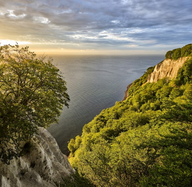 Vom Skywalk Königsstuhl bei Sassnitz schweift der Blick über leuchtende Kreidefelsen und die weite Ostsee. Buchenwald rahmt die hellen Klippen ein, während das Licht durch dramatische Wolken bricht – ein Naturschauspiel auf Rügen, das in Erinnerung bleibt. // © Florian Trykowski Vom Skywalk Königsstuhl bei Sassnitz schweift der Blick über leuchtende Kreidefelsen und die weite Ostsee. Buchenwald rahmt die hellen Klippen ein, während das Licht durch dramatische Wolken bricht – ein Naturschauspiel auf Rügen, das in Erinnerung bleibt. // © Florian Trykowski