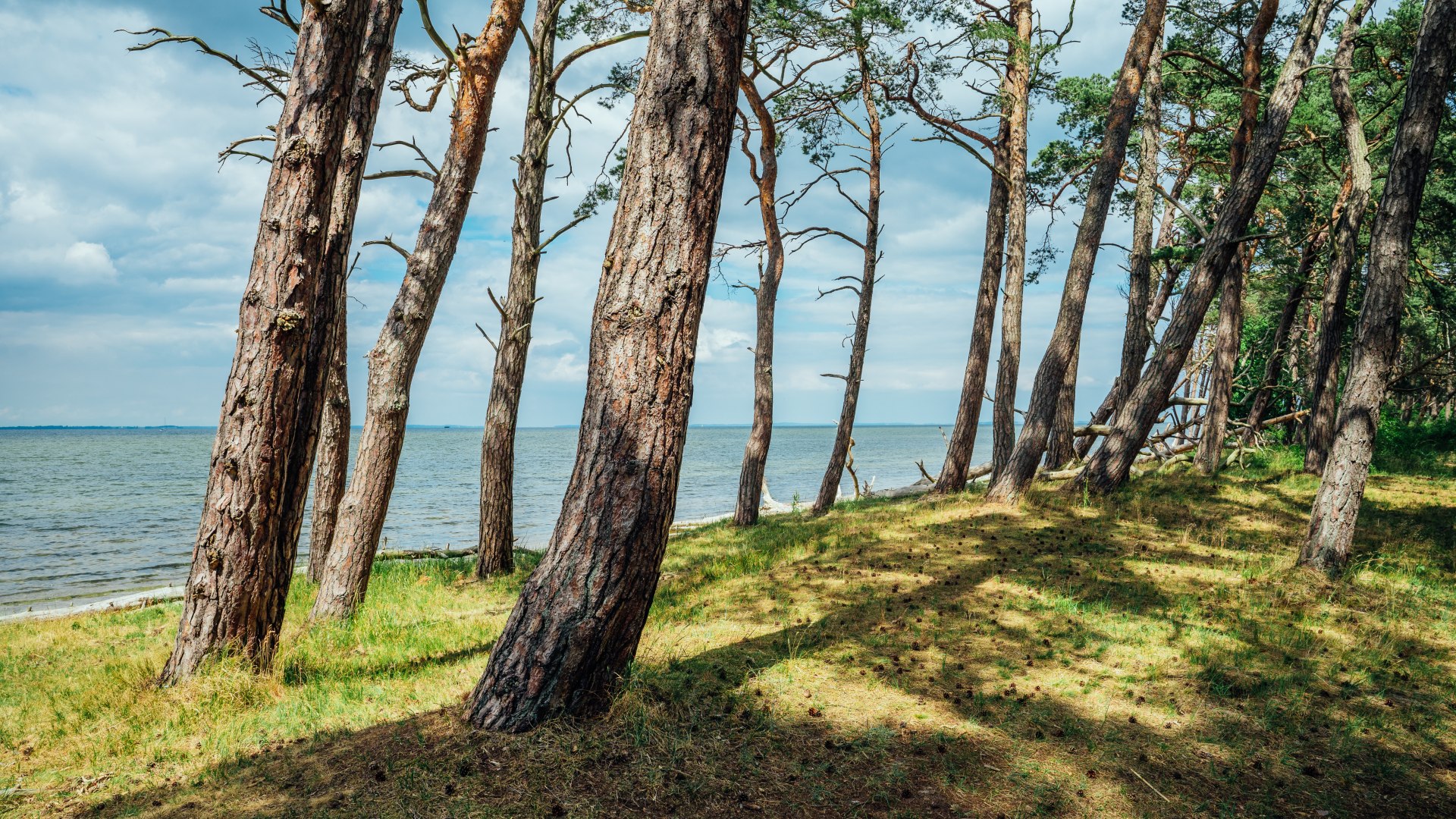 Hardly anything inspired the Romantic painters as much as nature, as here in Western Pomerania., © TMV/Tiemann