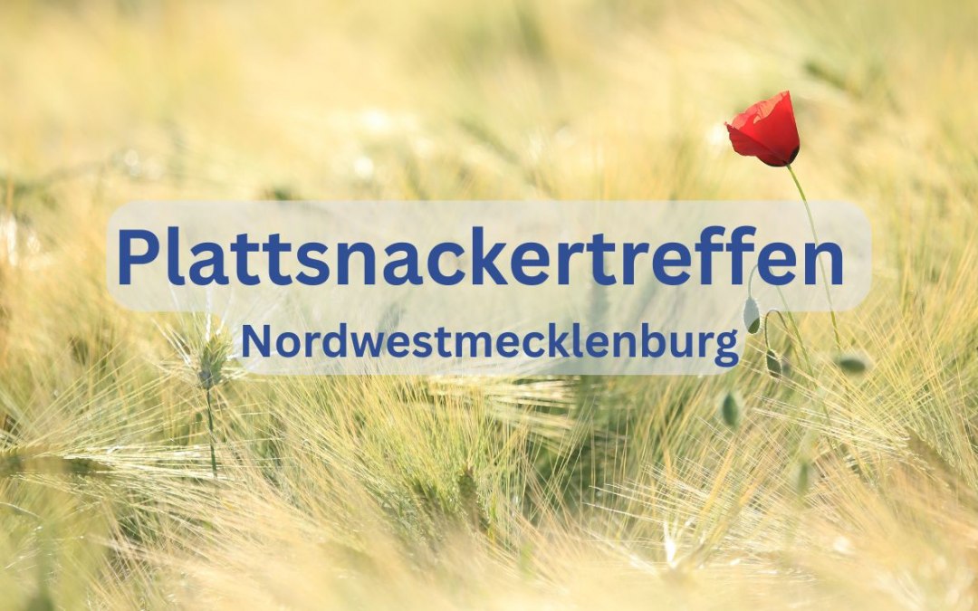 Cover picture Plattsnackertreffen, © Stadt Grevesmühlen