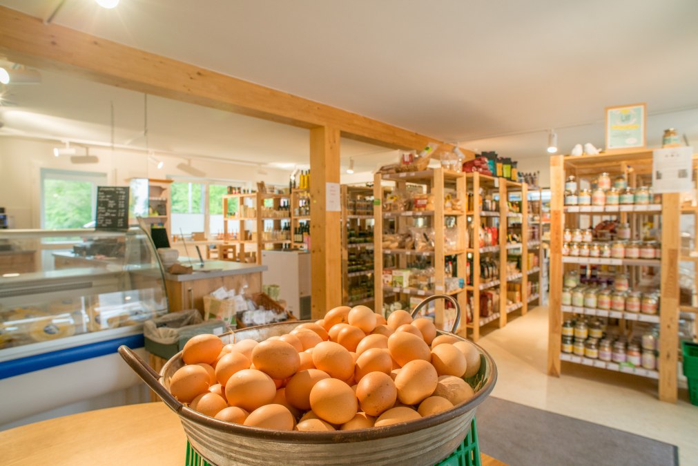 Eieren van onze eigen boerderij, © AndreasRiedel.com