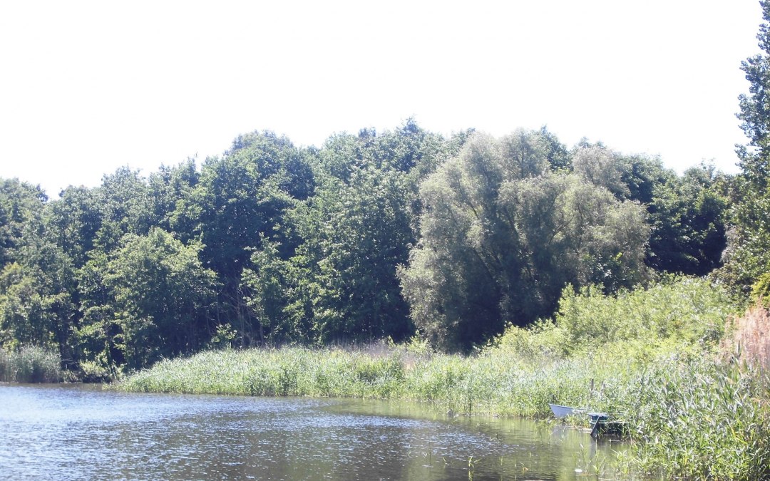 Fietstocht met gids - "Rondom de Schmollensee - Zevenmerenwandeling"., © 201513.jpg