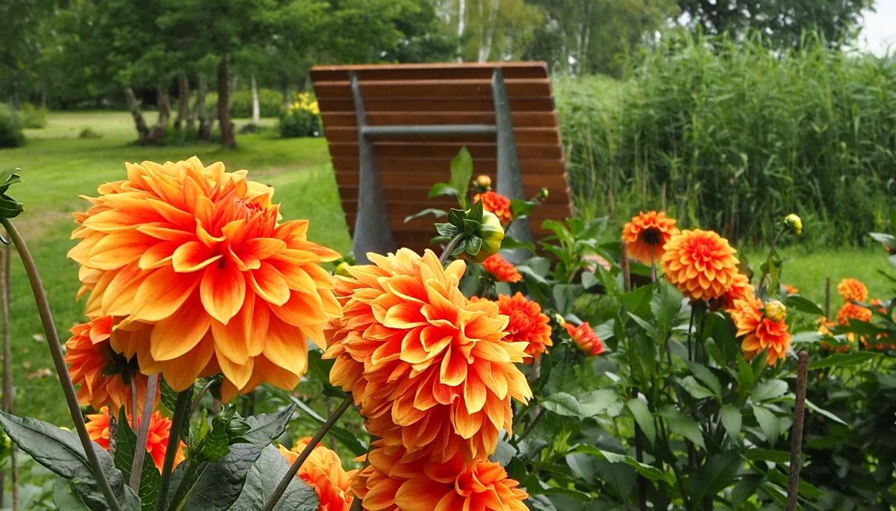 Tutaj można cieszyć się pięknem ogrodów spa, © TVVR Tutaj można cieszyć się pięknem ogrodów spa, © TVVR