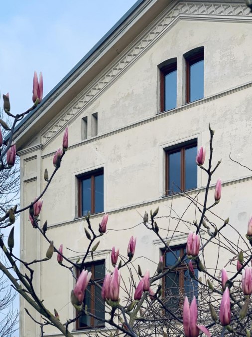 20200313_055714996_ios, © Welterbeverein Schwerin