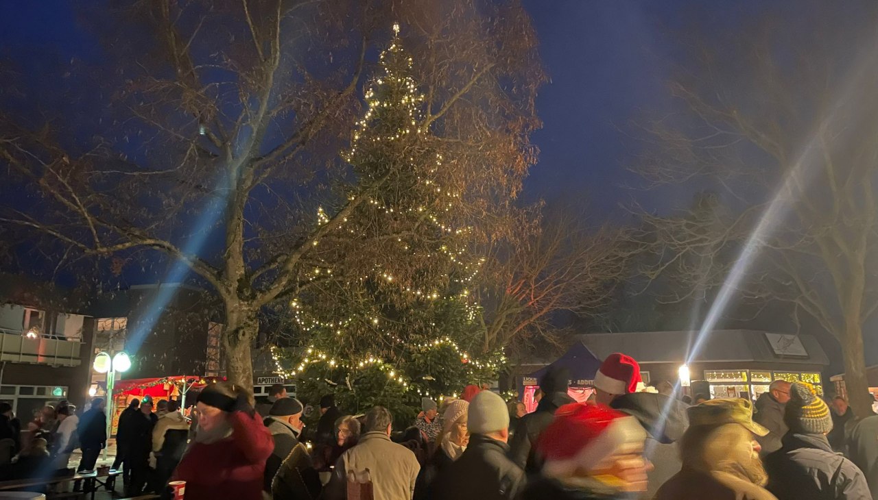 Rynek choinek bożonarodzeniowych, © TDG Rechlin mbH