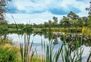 © TMV/Tiemann, Markus Tiemann © TMV/Tiemann, Markus Tiemann