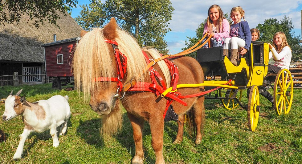 De kinderwagen is populair bij jong en oud., &copy; Freilichtmuseum Klockenhagen